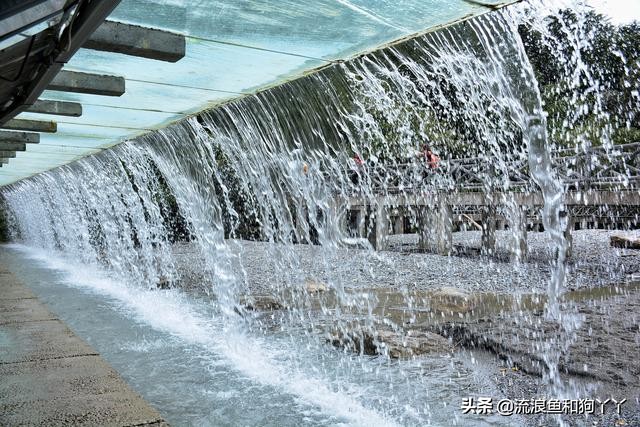 二郎山喇叭河看鹿,二郎山喇叭河看日出攻略