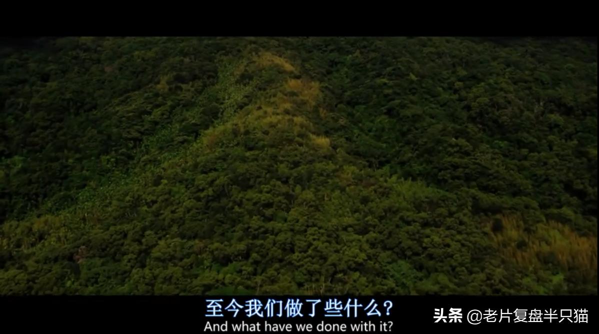 超体跟寡姐有关系吗,超体是寡姐演的吗