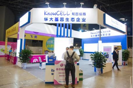 孕妈妈最关注的话题排行,太原孕婴童产业博览会攻略