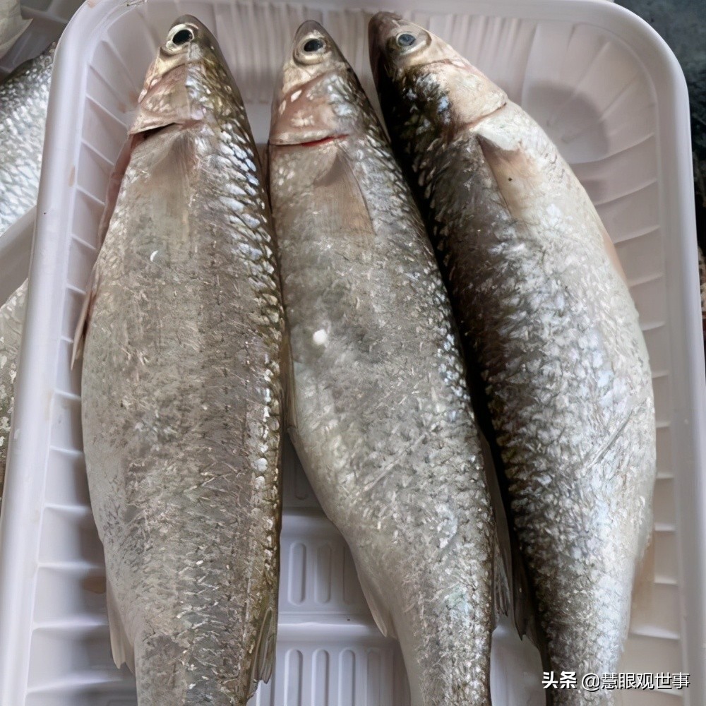 侯海洋基层风云在什么app上读,侯海洋基层风云10部在线阅读