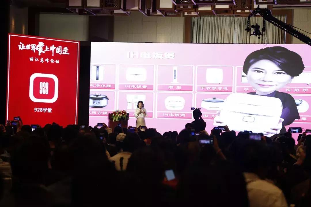 董明珠在中国品牌节演讲,董明珠参加中国企业高峰论坛