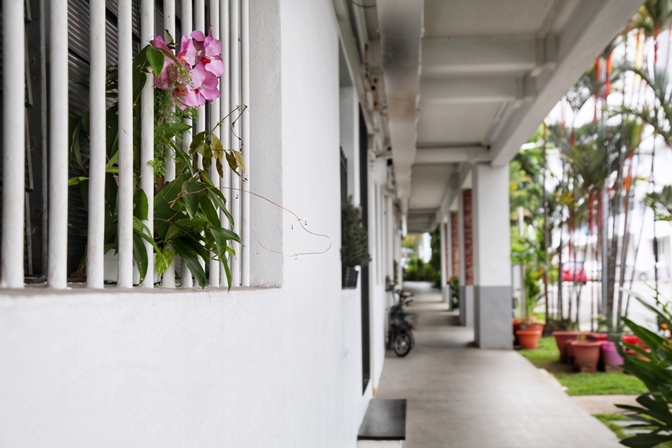 「怀念系列」新加坡|平价米其林+小众景点,3.5D我们不走寻常路3