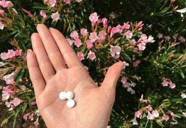 瀹堕噷鍏婚緹鐢ㄤ粈涔堣嵂,瀹堕噷鍏婚緹鎬庝箞闃叉榫熺梾