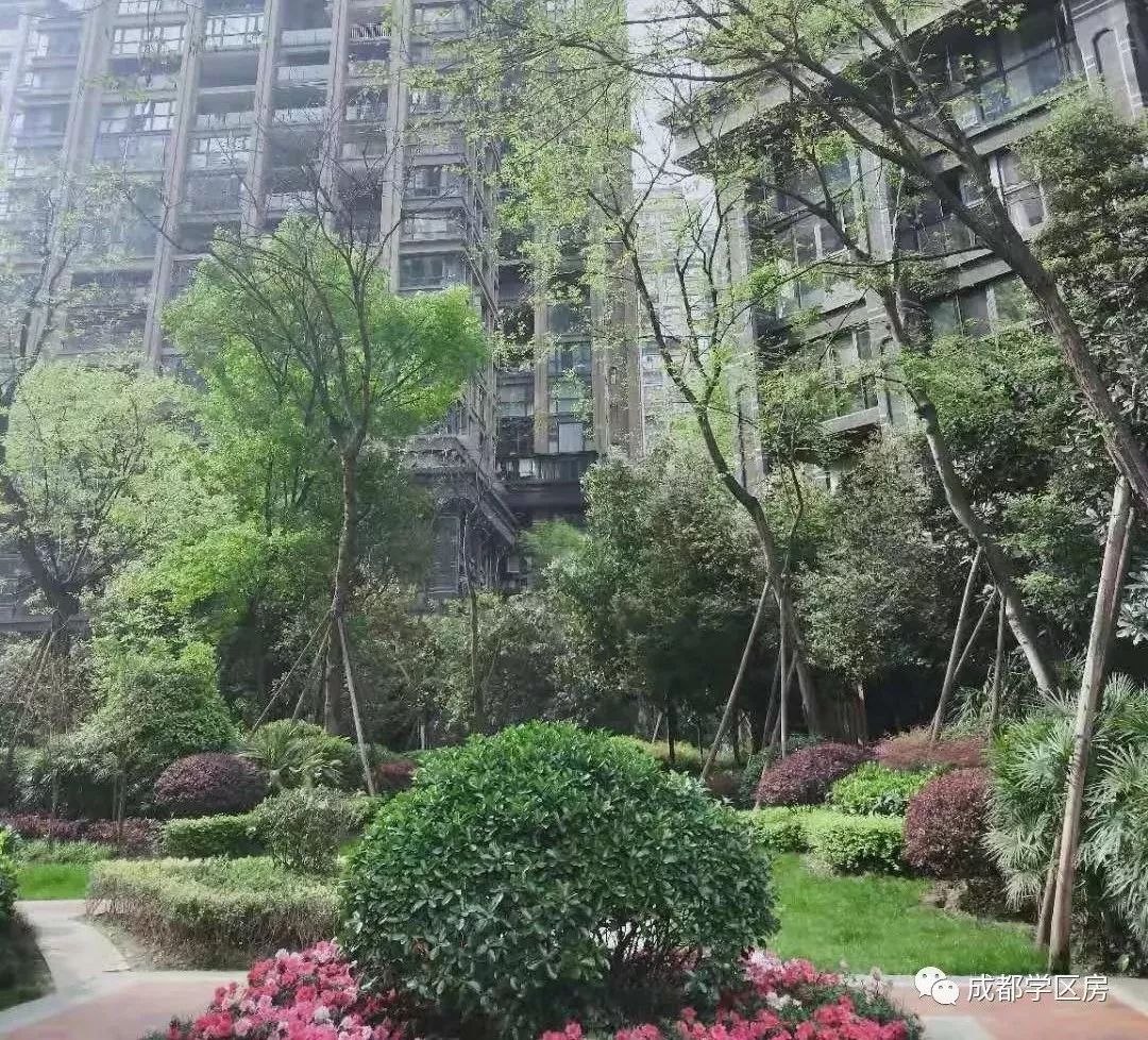 锦晖小学在成都市排名,成都锦晖小学的最新排名