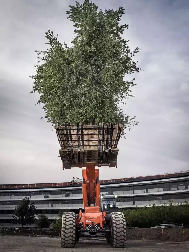 乔布斯去世真正的原因,乔布斯离世再无巅峰之作