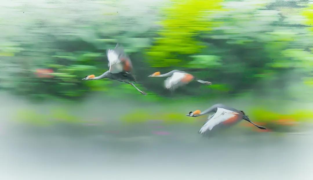 香港第14届全国摄影艺术展,第29届全国摄影艺术展览获奖名单