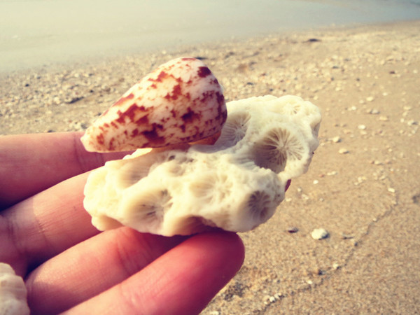 迟来的蜜月迟到的游记,迟来三年的蜜月之旅