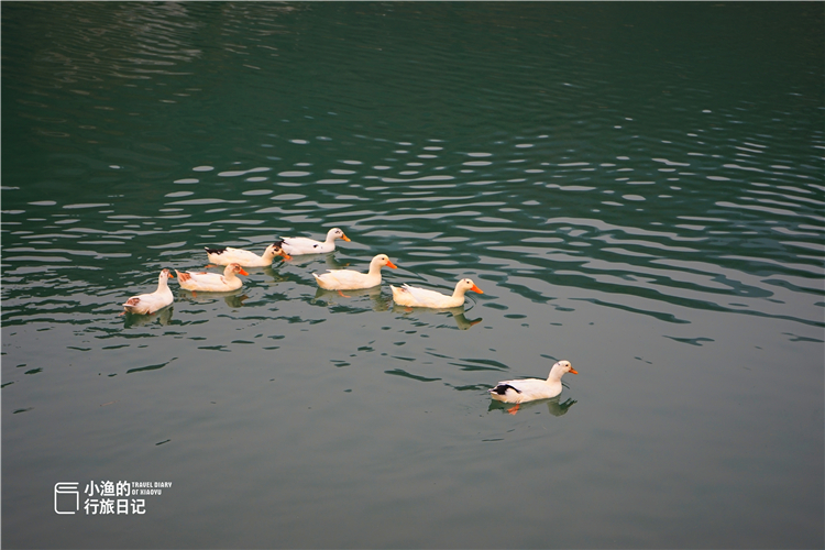 陕西小江南好地方,陕西秦岭脚下的小江南