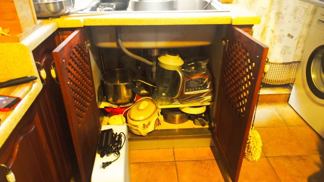 沁园小白鲸放在哪里,沁园小白鲸体积