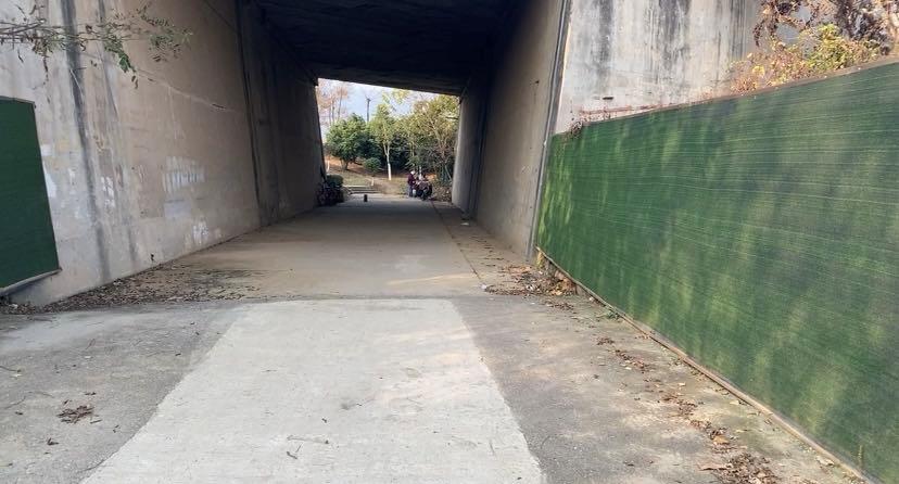 南京最适合夜晚的公园,南京周末户外打卡景点