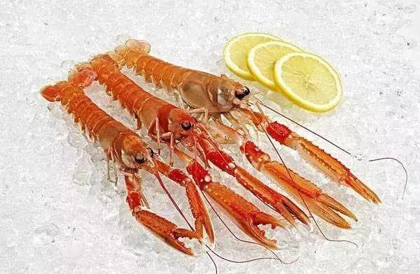 哪种海鲜的味道最鲜美,世界上最鲜美的海鲜