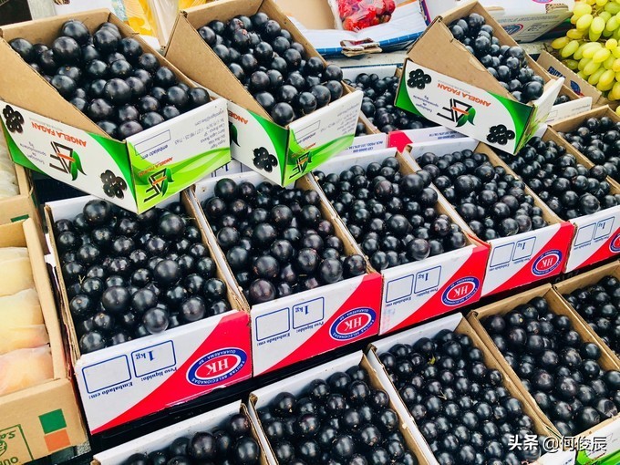 欧洲足球博物馆,足球博物馆museum