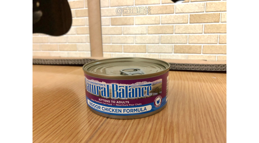 k9幼猫罐头推荐,k9巅峰猫粮