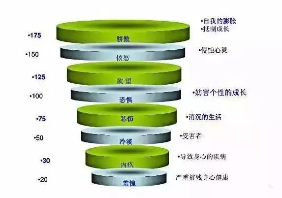 美国惊人发现：癌细胞最怕“爱”