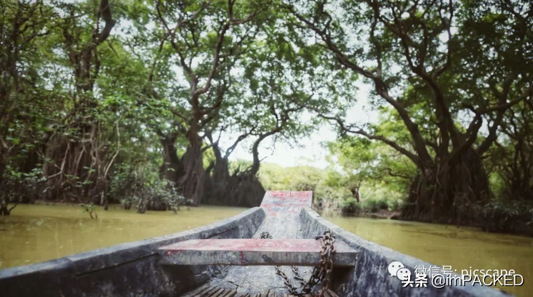 孟加拉国贫困与饥饿如何解决,孟加拉国艰难的生存之路