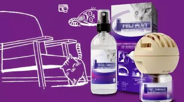 猫咪为啥喜欢玩袋子 (为什么猫咪喜欢吃塑料袋)