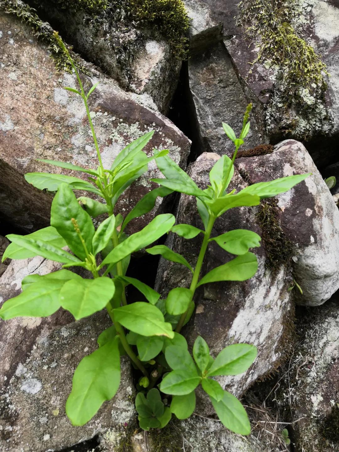 我要去旅行英文,我要去旅行完整版