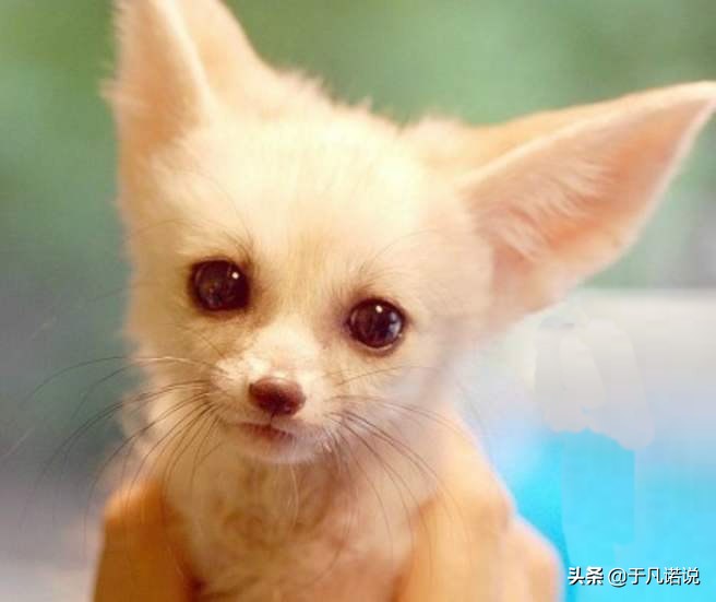 为什么总有些人那么痛恨医生