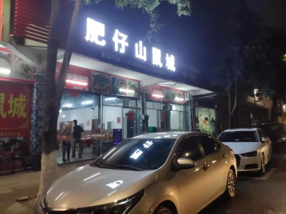 鼎湖附近老字号美食推荐,舌尖上的肇庆完整版