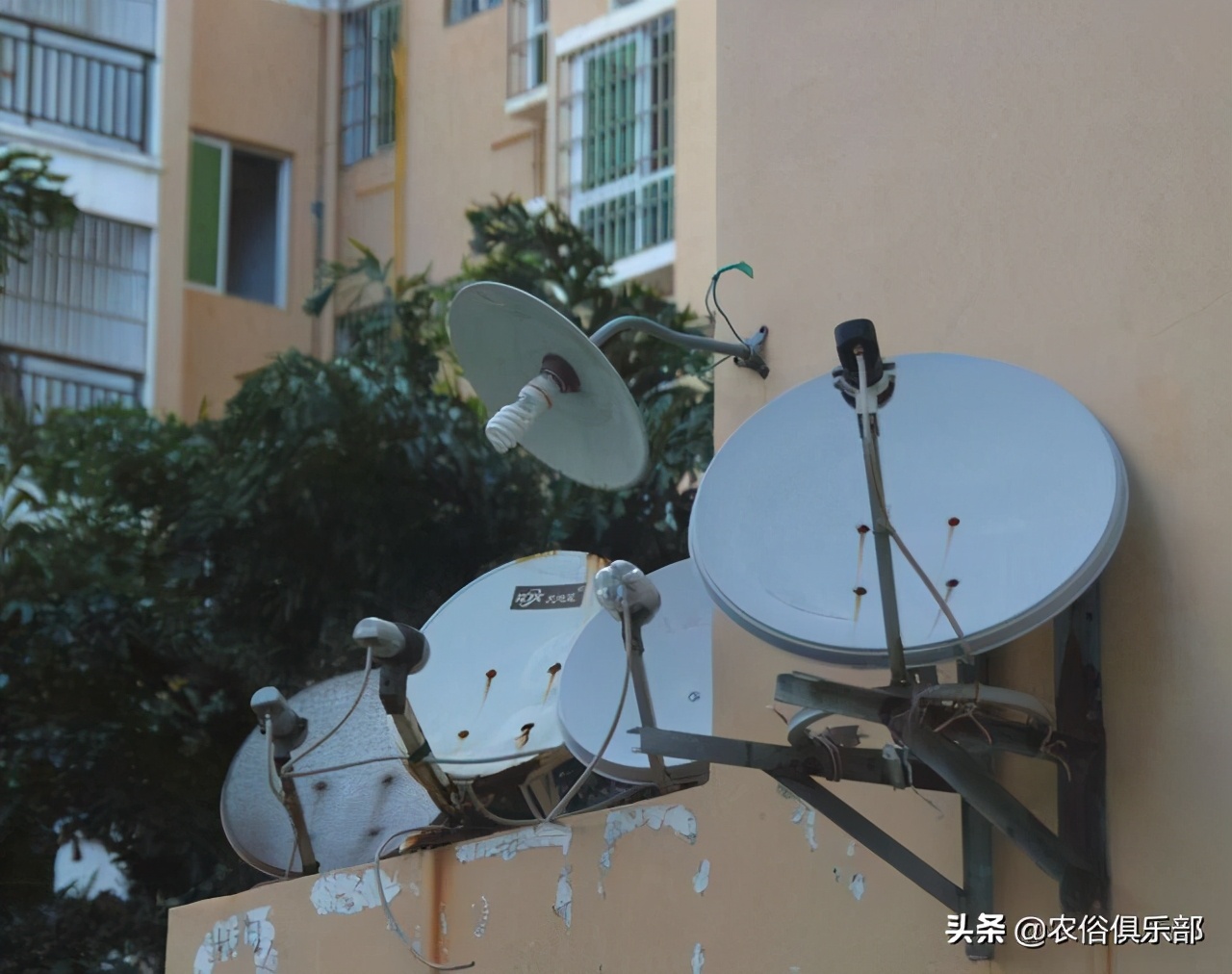 为什么农村禁止私人卫星锅,在农村装卫星锅真的违法吗