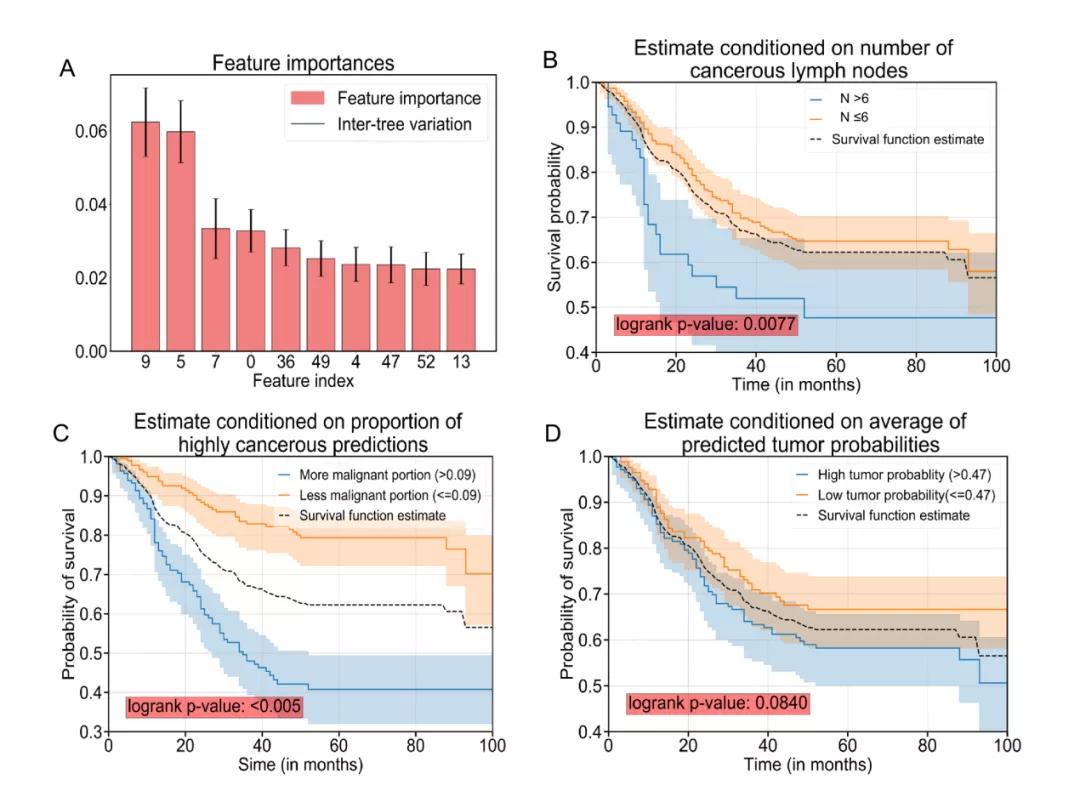 于颖彦教授：利用深度学习模型预测胃黏膜良恶性病变新进展