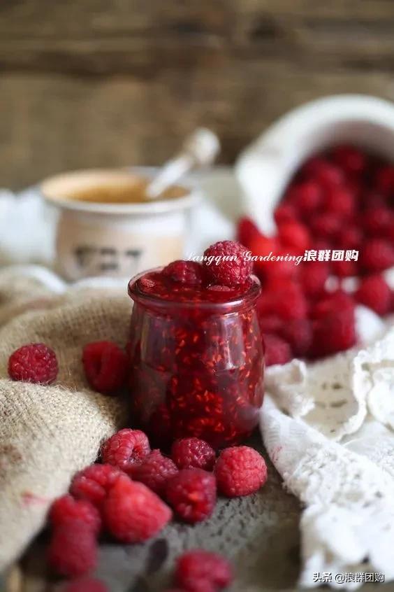 盆栽树莓能结多少果,盆栽果树一年可以长多高