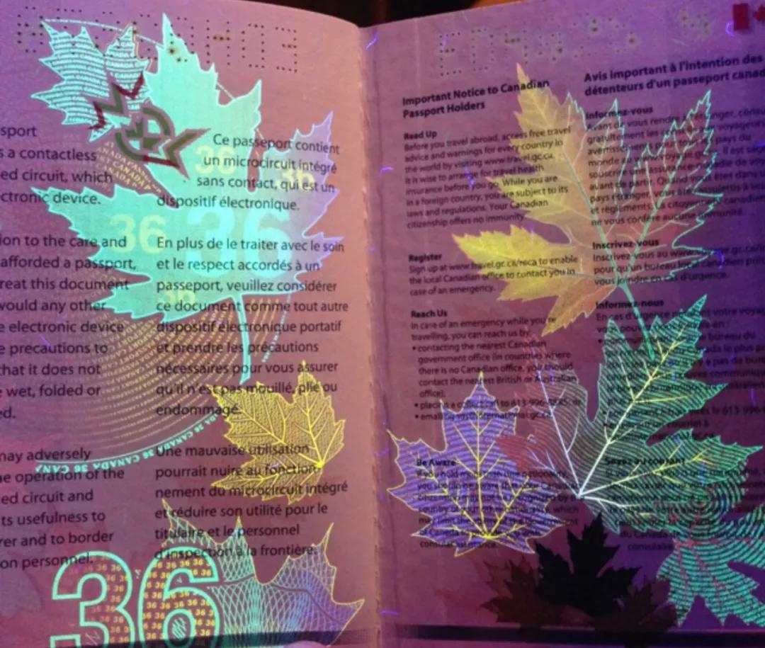 全球十大顶级国际护照,世界最美护照国家