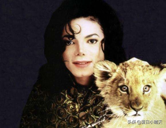 最危险的演唱会迈克尔杰克逊,迈克尔杰克逊死人最多经典演唱会