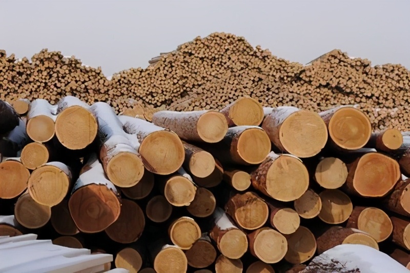 中国禁进口澳洲原木是什么,中国对澳大利亚进口的关税