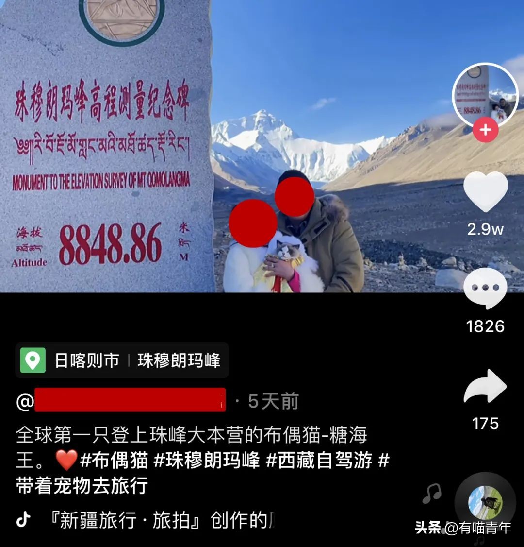 网红绑猫*藏西**骑行求关注,遭网友质疑回怼:比在家里刺激多了