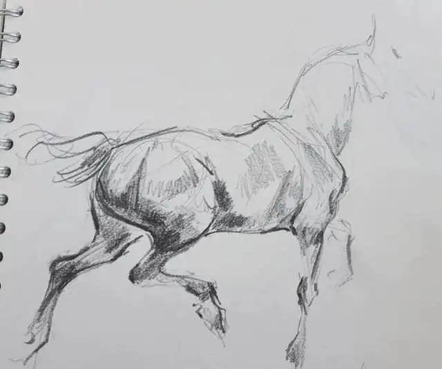马怎么画简单图画,马怎么画更真实
