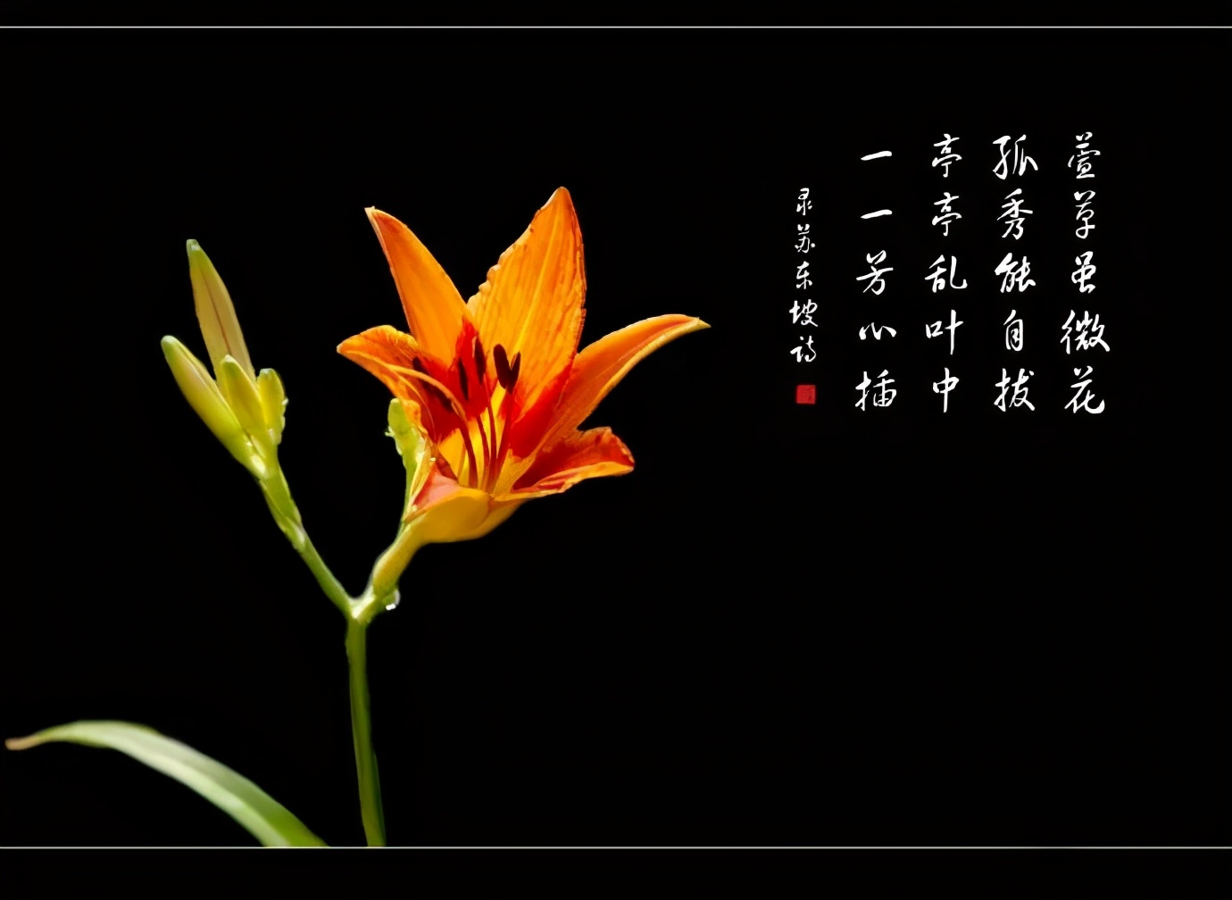 3.8妇女节送花应该怎么送,妇女节送花