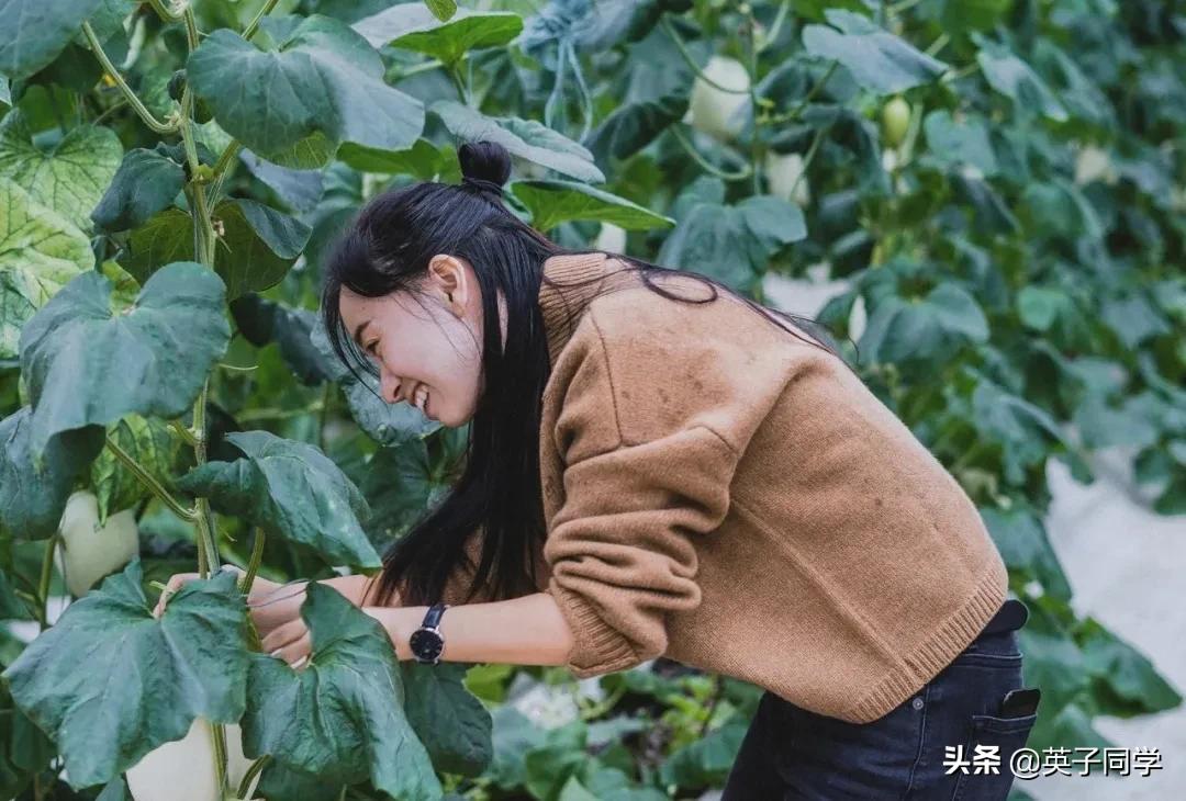 南昌农家乐采摘一日游,南昌采摘农家乐