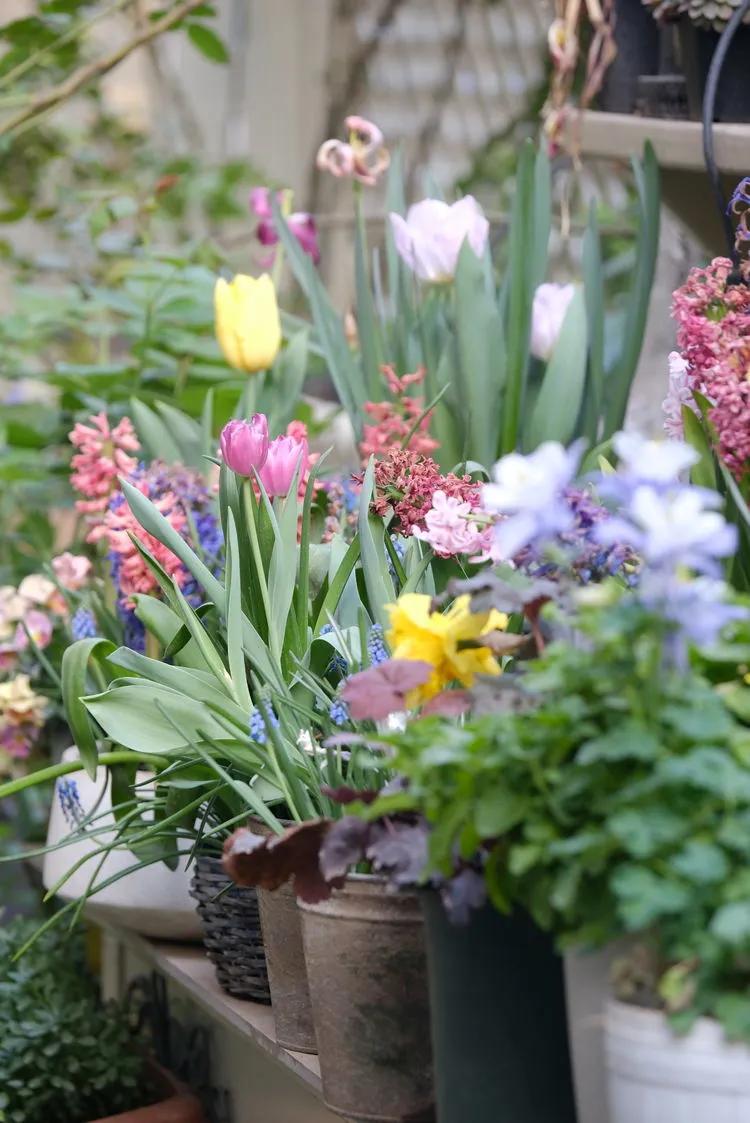 三年前买了套绿地110平三房130万,三年前耗资百万打造小院出售