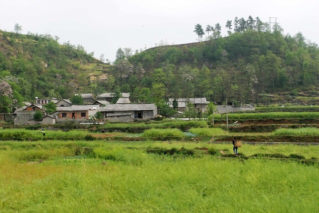 湖南女人追到东莞，找到湖北男人，老杨和李心怡能走到一起吗