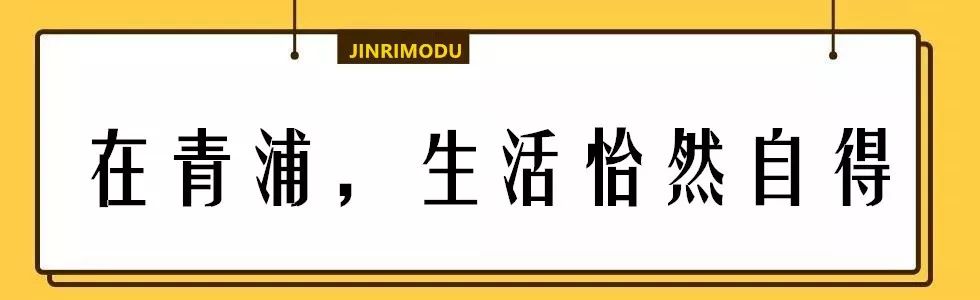 在上海拥有这样一个露台多幸福,在上海有一种温暖叫邻里互助