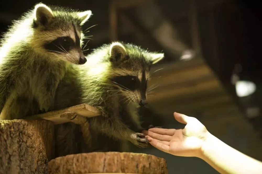 海昌萌宠乐园在几楼,海昌萌宠南通