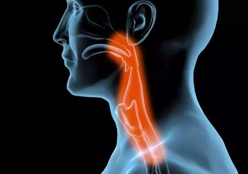 戒烟神器对人体有什么危害,戒烟神器吸入式危害