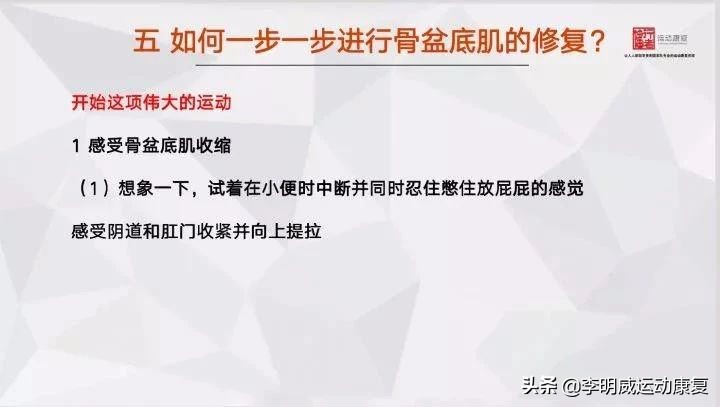 女性紧致骨盆训练方法,骨盆修复的正确锻炼方法