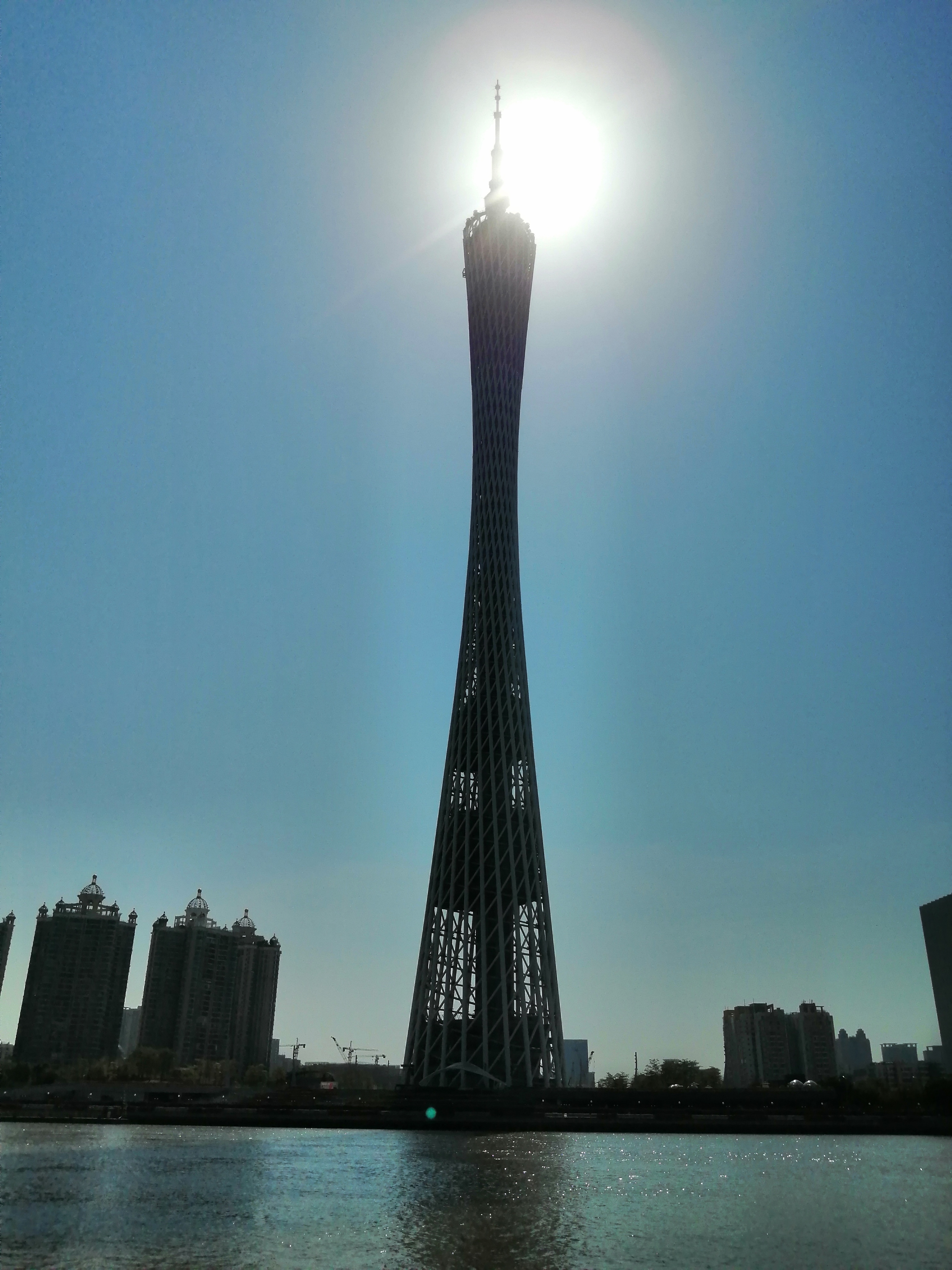 广州海心沙亚运公园广州塔格桑花,游广州海心沙公园