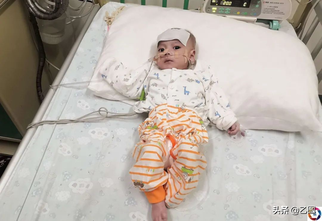 6个月的男宝才15斤,6个月的男婴体重才5公斤是正常吗