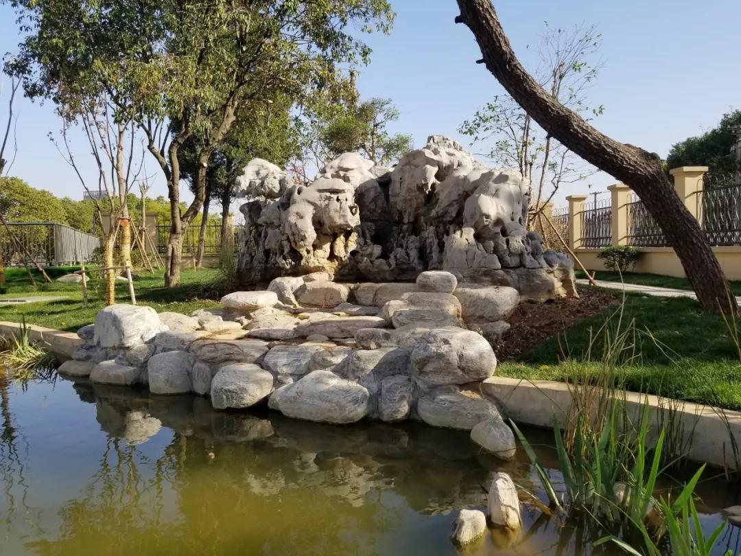 1+12，来看一体化办学“江北样本”！