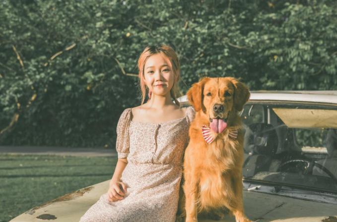 宠物狗饲养过程中应该做什么准备,狗狗饲养小技巧你知道多少