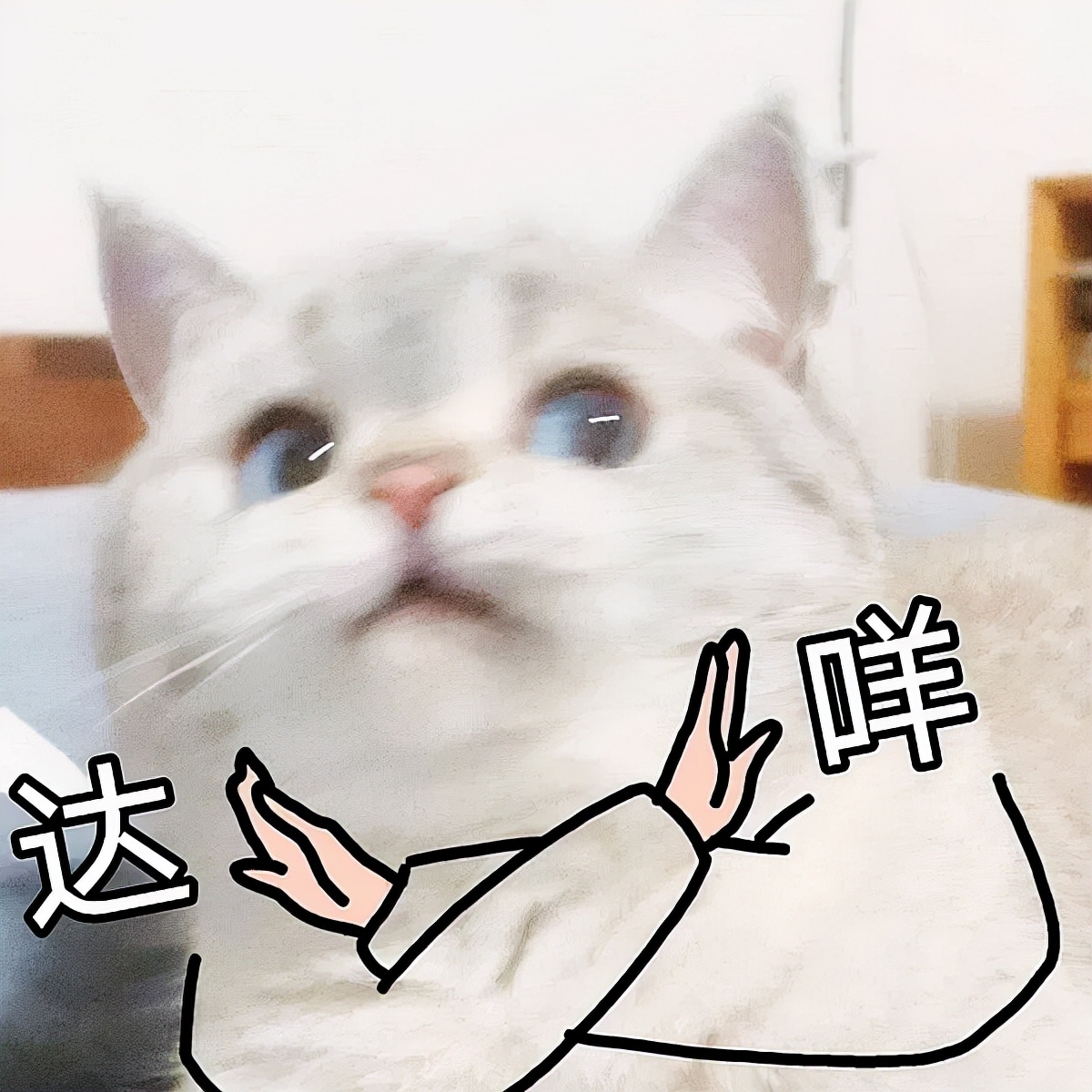 宫颈糜烂治好了还会得宫颈癌吗,宫颈糜烂会引发宫颈癌吗严重吗