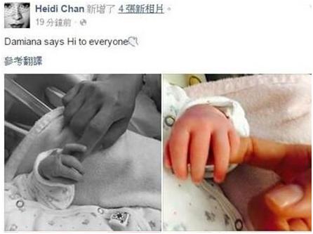 刘碧丽宫斗事件,宫斗最后的下场