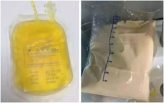 明星们的同学聚会照片,明星同学聚会照