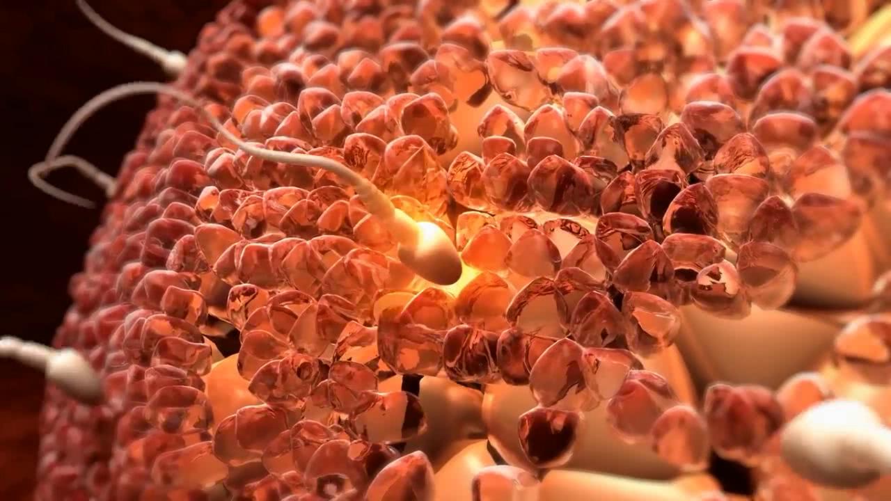 准爸爸身形高大胎儿会偏大吗,准爸爸做哪些事情不利于胎儿