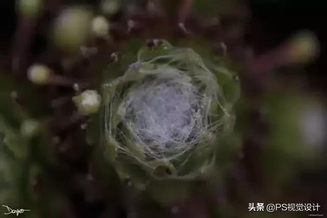 日常照片后期一定要用ps吗,摄影后期修图用ps什么版本