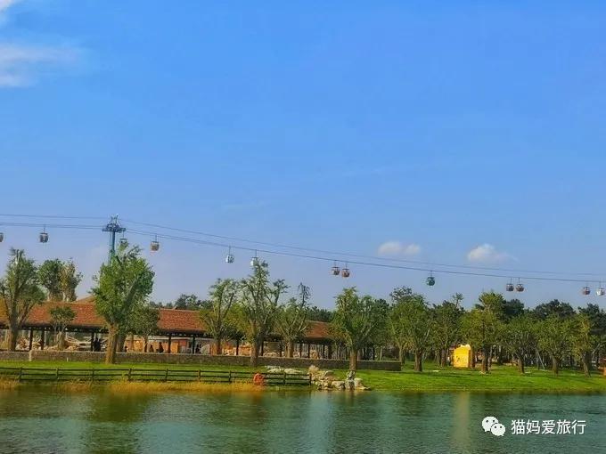 齐河附近带孩子自驾游景点,周边亲子游齐河