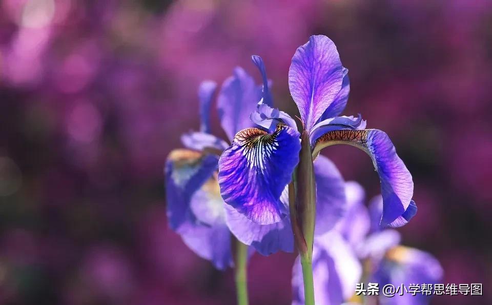 垃圾分类的优秀作文300字,垃圾分类的优秀作文一年级